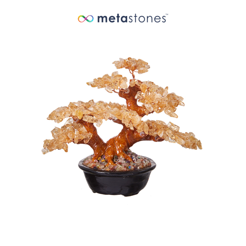 黄水晶树 （迷你）