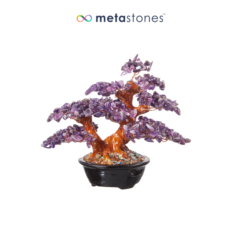 紫水晶树 （迷你）